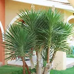 شقة فندقية I Lentischi 3*