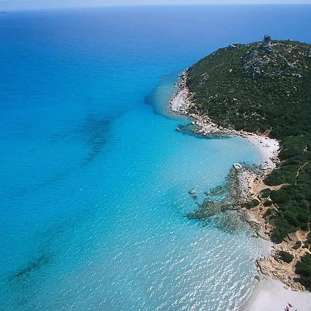 I Lentischi *