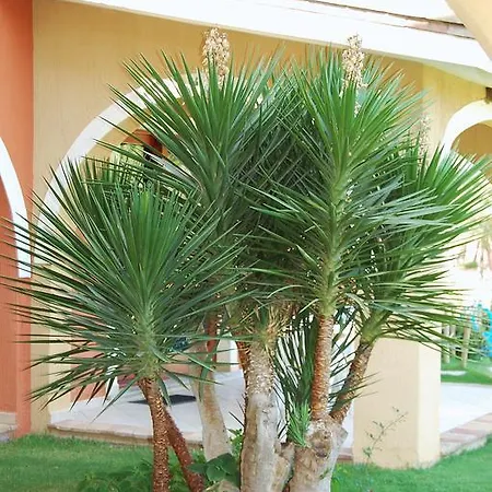 Appart hôtel I Lentischi *